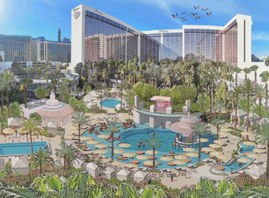 Flamingo Go Pool